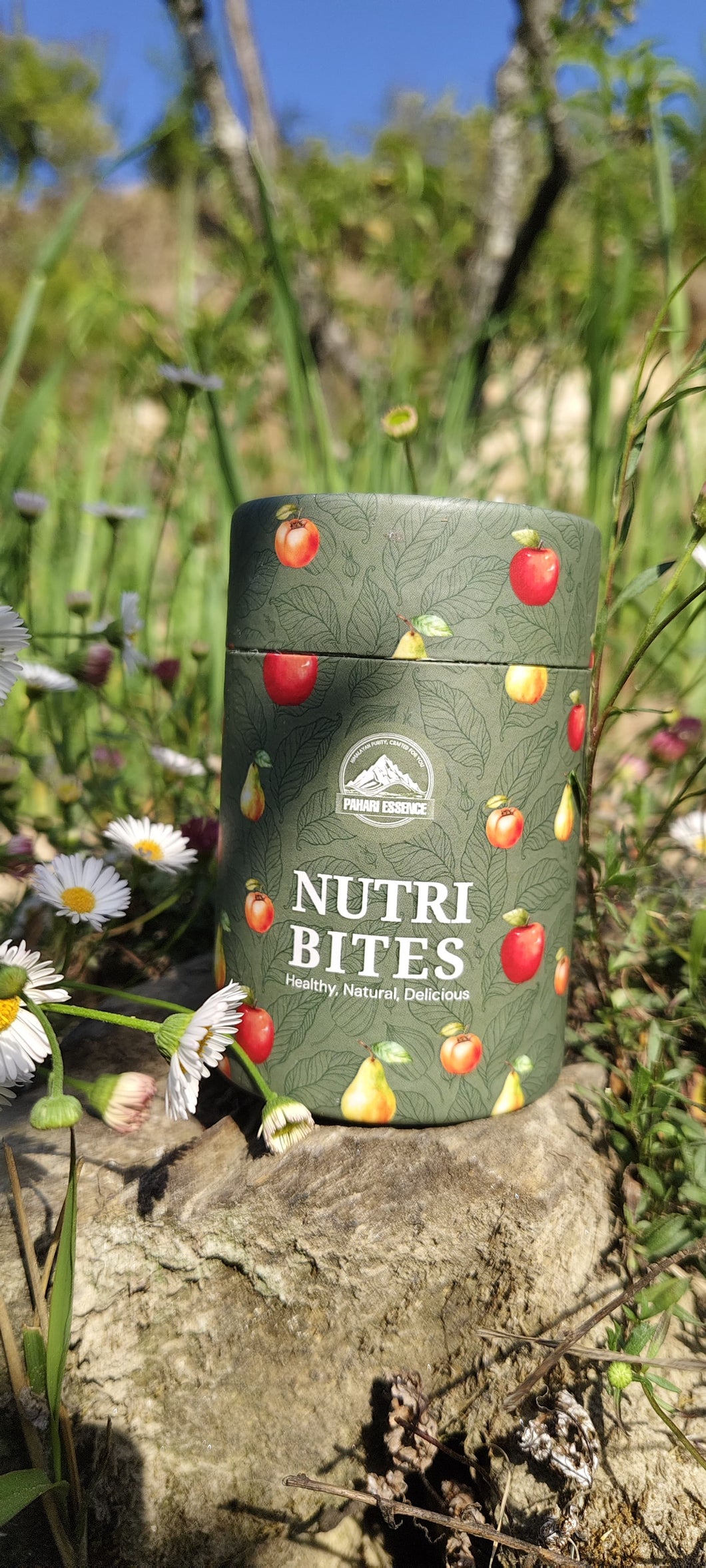Nutri Bites